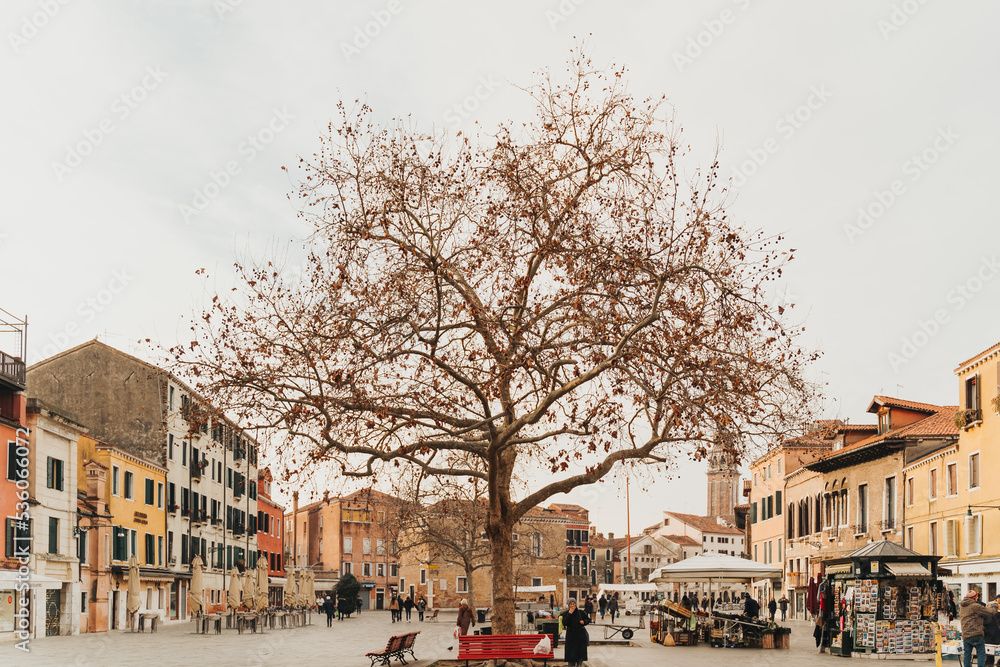 Obraz premium Landscape with buildings in Venice, Italy