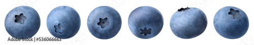 Collection or set of various fresh ripe blueberries on white background