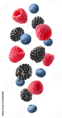 Collection of various falling fresh ripe wild berries isolated on white background. Raspberry, blackberry and blueberry