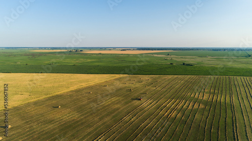 Aerial view tractor with baling machine making silage bales on farmland at agricultural field. Drone shot haystack and harvesting dry grass for agriculture. Farmers season to cut and harvest crops © viacheslav