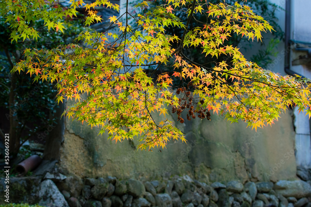 天野山金剛寺(大阪府河内長野市)の紅葉