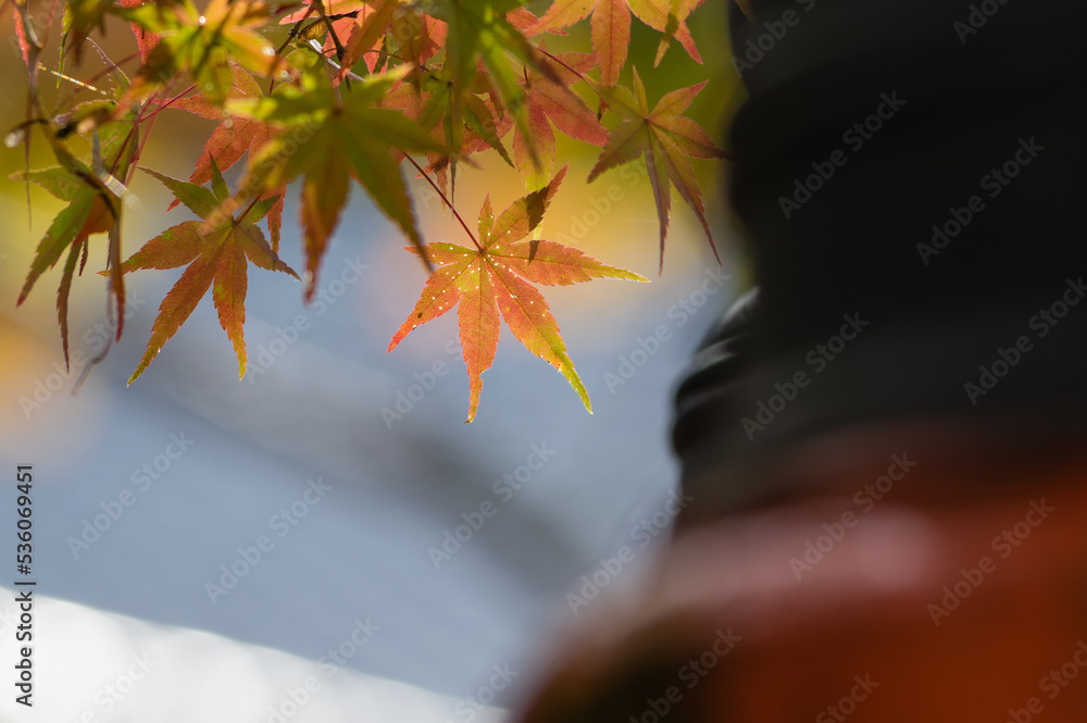 天野山金剛寺(大阪府河内長野市)の紅葉