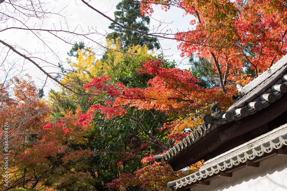 天野山金剛寺(大阪府河内長野市)の紅葉
