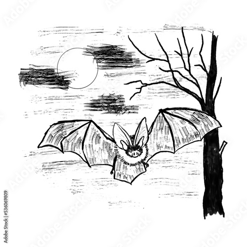 Hand drawn illustration of vampire bat flying in the sky moon tree branches. Black line monochrome design in ink inking shape silhouette outline, minimalist drawing sketch.