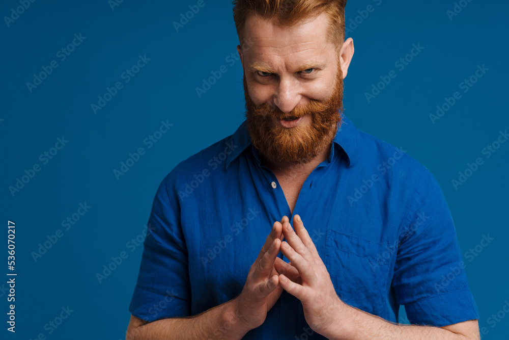Portrait of adult handsome stylish redhead bearded insidious man - obrazy, fototapety, plakaty 