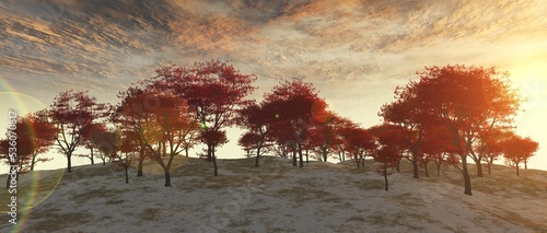 Autumn landscape at sunset, autumn trees on a hillside, trees with red leaves on a hillock, 3d rendering
