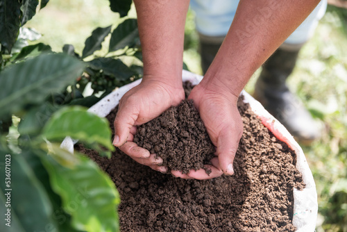 Hands with organic fertilizer 