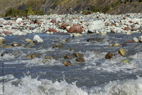White water of the  mountain stream in summer time. Torrent waves, white and brown stones, green grass and trees on the bank