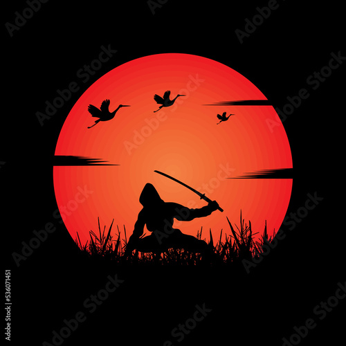 Ninja, Assassin, Samurai training at night on a full moon