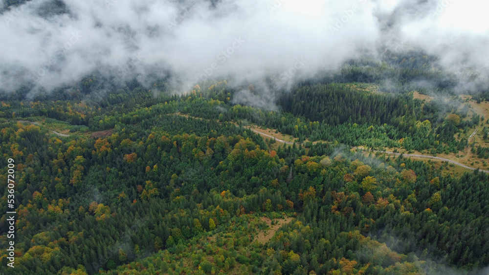 Panorama of forest covered by low clouds. Autumn rain and fog on the mountain hills. Misty fall woodland.