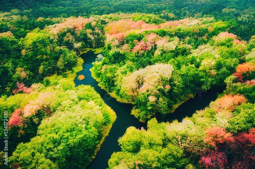 Summer in forest aerial top view. Mixed forest, green deciduous trees. Soft light in countryside woodland or park. Drone shoot above colorful green texture in nature