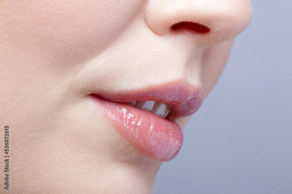 Obraz premium Human mouth and nose. Closeup macro portrait of female part of face. Woman lips with day beauty makeup.