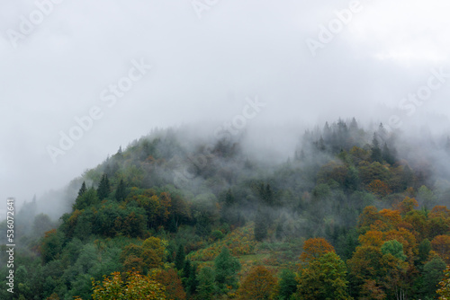 Low sky in the mountains. Autumn rain and fog on the mountain hills. Misty fall woodland.