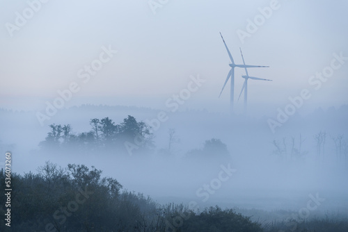 MIST - Autumn morning in the river valley