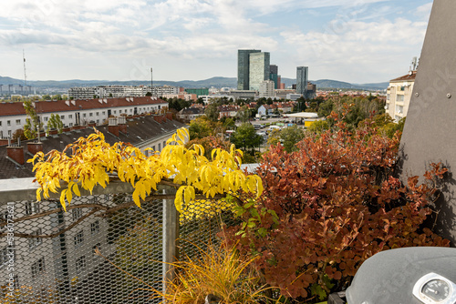 Autumnal discolored plants with yellow and brown leaves on a roof terrace with the skyscrapers of Wienerberg City in the background