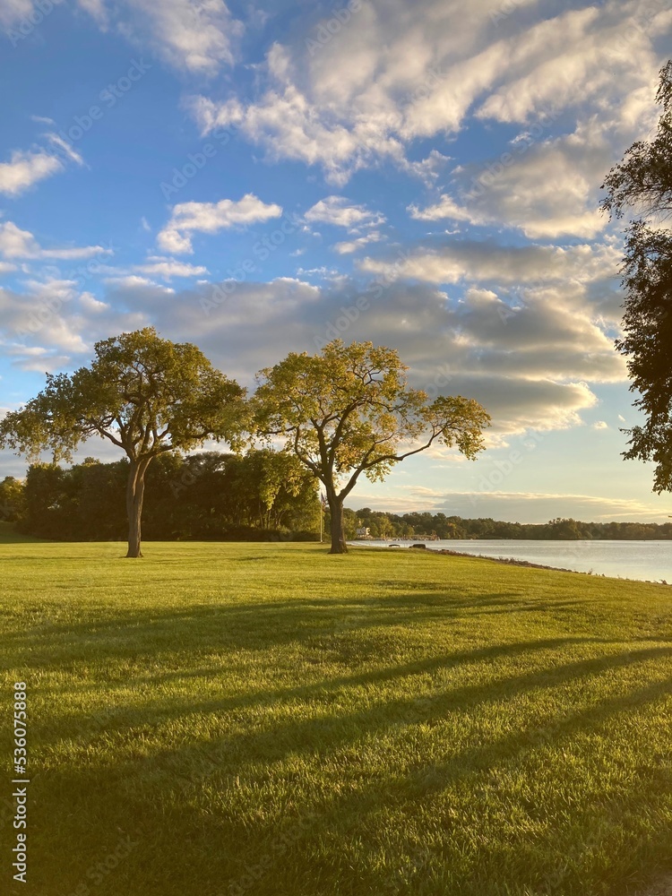 Fototapeta premium tress along the river at sunset