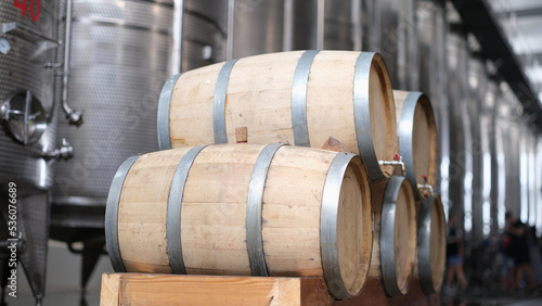 Wine production and modern wine tanks with wine barrels