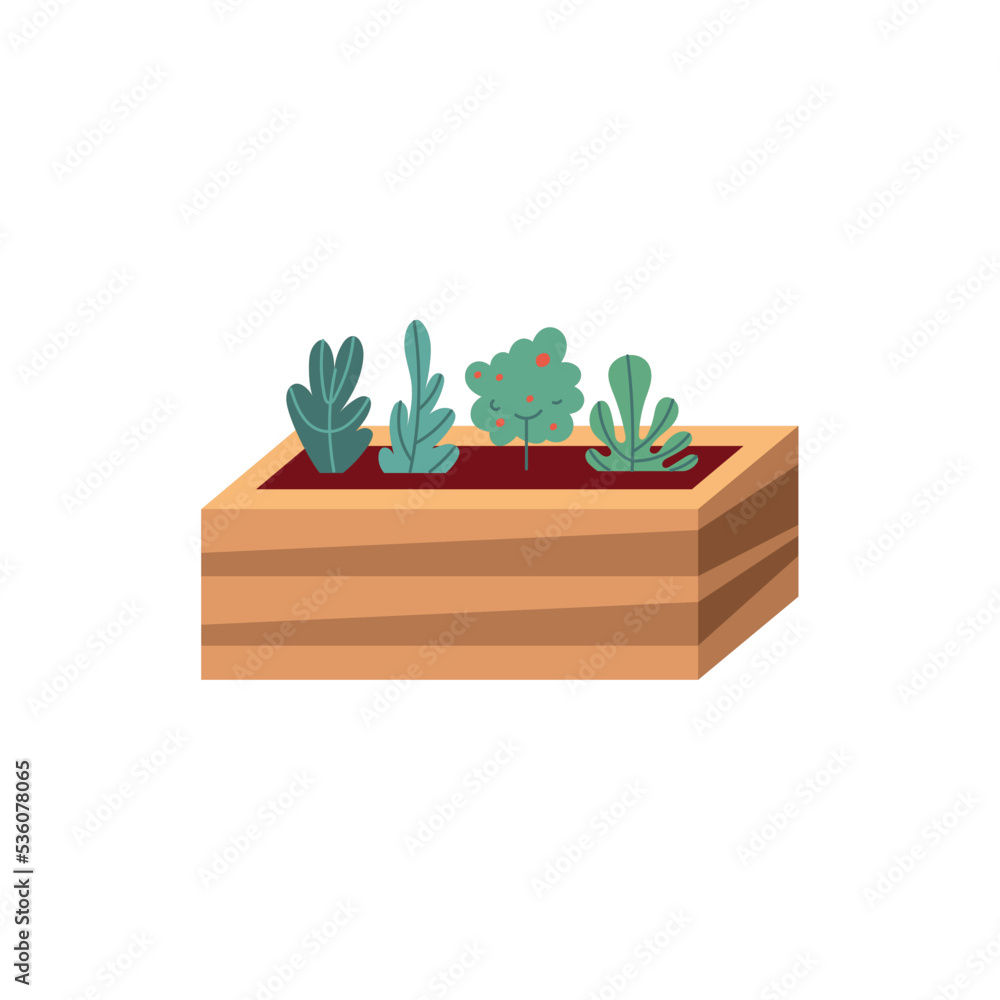 plants in wooden pot plants in wooden pot
