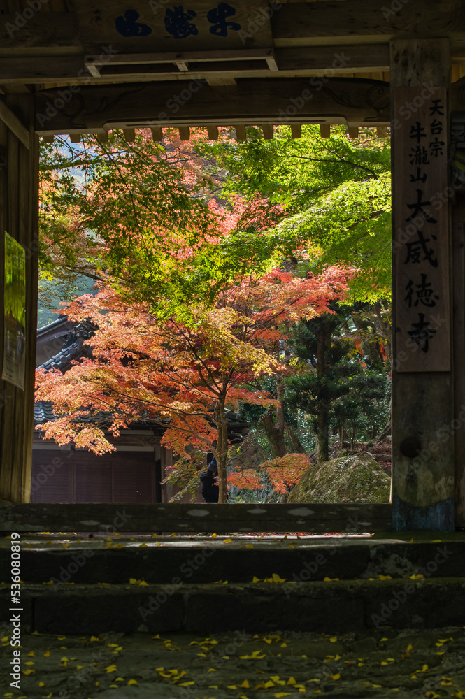 大威徳寺(大阪府岸和田市)の秋風景