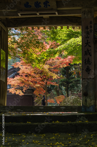 大威徳寺（大阪府岸和田市）の秋風景
