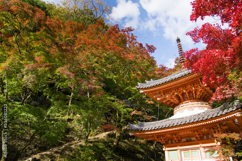 大威徳寺(大阪府岸和田市)の秋風景
