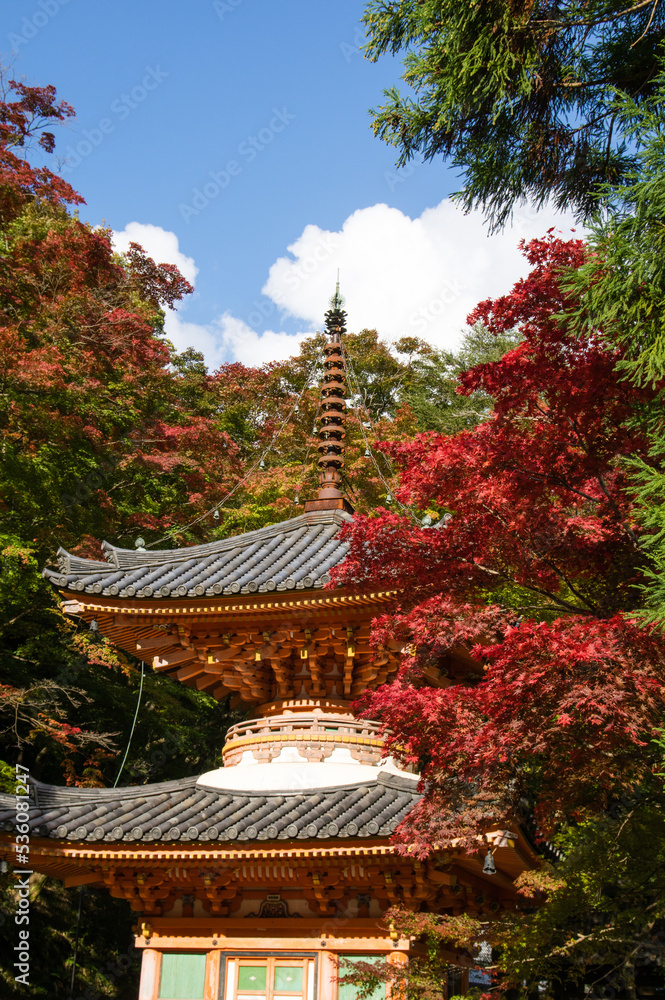 大威徳寺(大阪府岸和田市)の秋風景