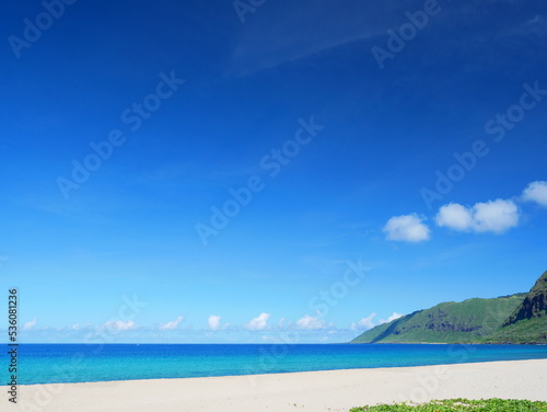 ハワイ、オアフ島、晴天のマクアビーチ