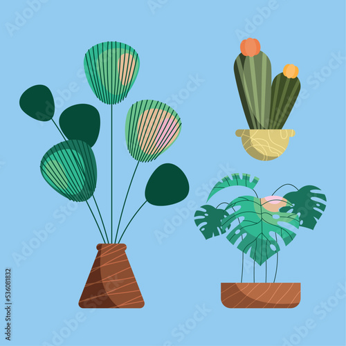 houseplants in pots