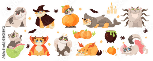 Cat characters in Halloween costumes vector illustrations set. Cute comic kitties in spooky clothes, kitten in pumpkin hat for autumn holiday isolated on white background. Halloween, pets concept