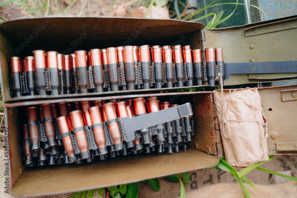 Naklejka premium shells on the beach