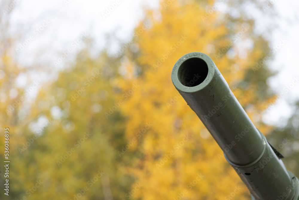 Cannon muzzle on autumn blurred background. Military concept with copy space