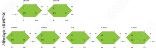 Amylopectin - polysaccharide. Component of starch. Branched polymer of α-glucose units found in plants. photo