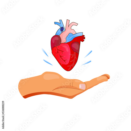 Heart donation flat vector illustration. Give a hand with heart symbol. Donor card of the day. Bioengineering technology to create viable organs for transplantation concept.