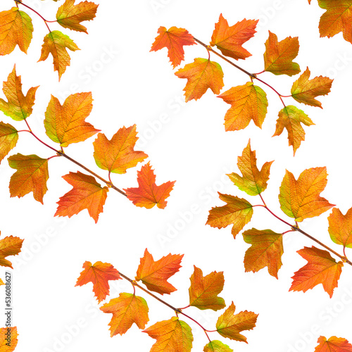 Pattern Seamless Autumn branch with colorful leaflets.