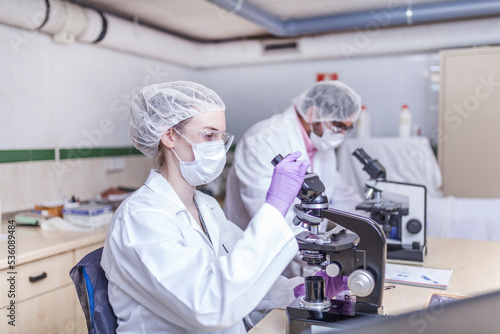 colleagues scientists working at laboratory photo