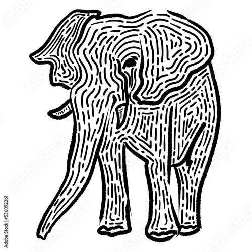 black and white elephant