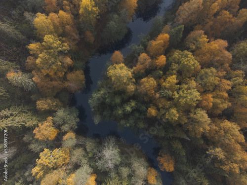 Autumn colors in a beautiful forest. Air view. Winding river.