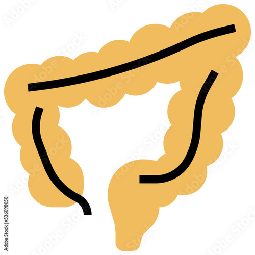Large icon