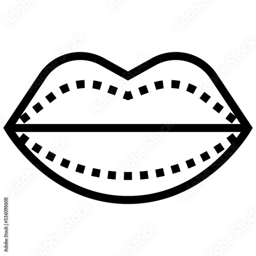 lip icon