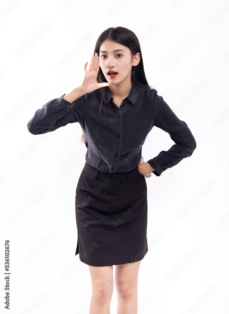 Business woman in black blouse and skirt on white background Business woman in black blouse and skirt on white background