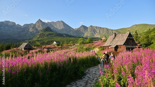 Beautiful summer morning in the mountains - Hala Gasienicowa in Poland - Tatras	