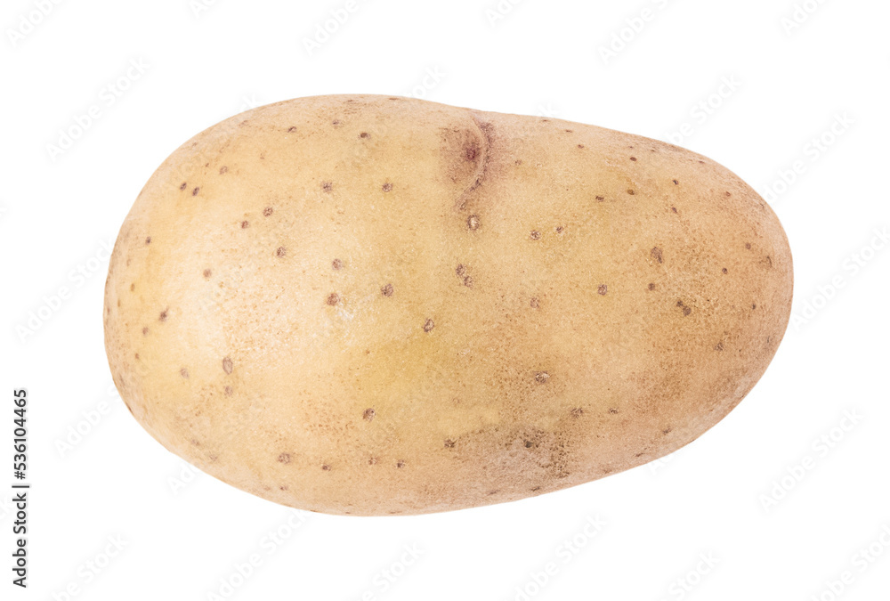 One young potato isolated on transparent background One young potato isolated on transparent background