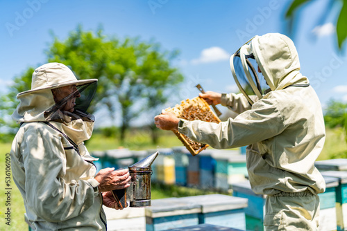 Two beekeepers working together. Beehive professional farmers. © Vadim
