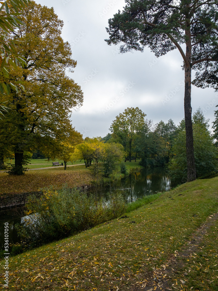 autumn in the park autumn in the park