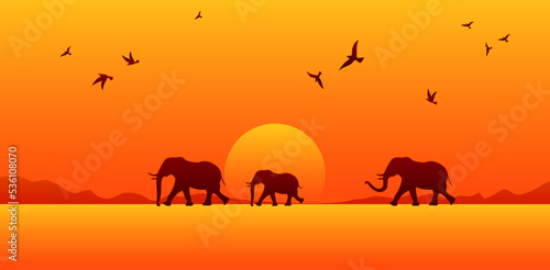 Wallpaper Mural Silhouettes of wild African elephants. Safari animals in sunset. Savanna landscape vector illustration Torontodigital.ca