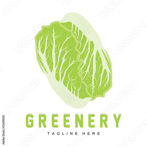 Chinese cabbage Logo Design Green Plant Vector Kimchi Food Ingredients