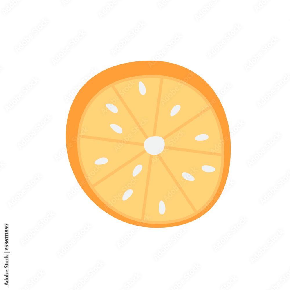 fruit Illustration fruit Illustration