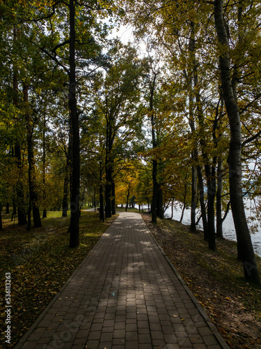 path in the park © Silantev Sergey S.