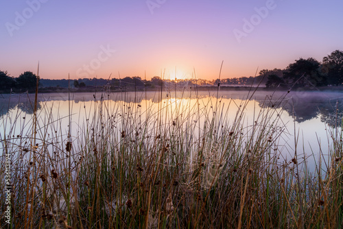 Swamp with ven at sunset in autumn landscape. photo