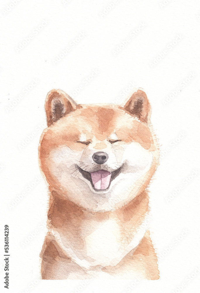 Watercolor shiba inu dog. Charming puppy on a white background. Realistic cute dog portrait illustration for postcards and print.